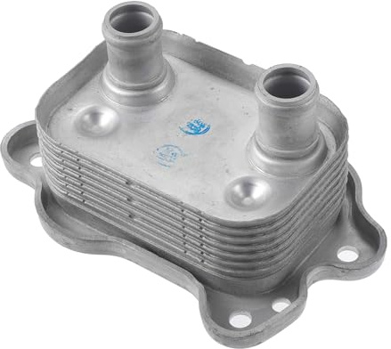 VekAuto Motorkühler-Kit für Mini Cooper 2002-2008 1 Stück | Silberton, Aluminiumlegierung, 13x9.5x6 Cm, Wassergekühlt, OE-Nummer:11427509212, Verlängert Motorlebensdauer