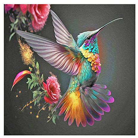 Stalente Diamond Painting Erwachsene Set vögel, 5D Diamond painting Kolibri, Rund Full Drill Diamond Painting for Home Wall Decoration Gift 30x30cm/12x12in