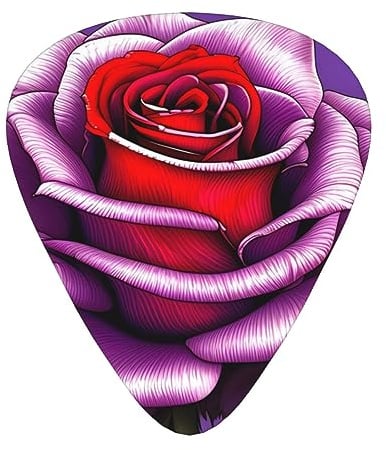 Fuchsia Rose Guitar Picks Thin Medium Heavy 12 Pcs Suitable for Guitar Bass Electric Guitar Ukulele Wearable Guitar Picks