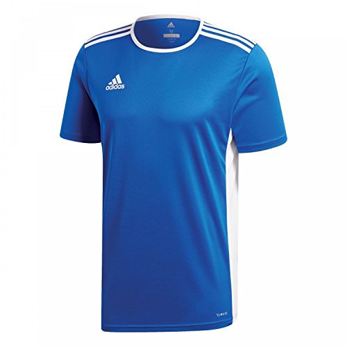 adidas Herren Trikot Entrada 18, Bold Blue/White, S, CF1037