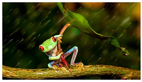 Holzpuzzle Für Erwachsene 1000 Teile Farbiger Frosch Unter Den Blättern Familiensammlung Kunstwerk