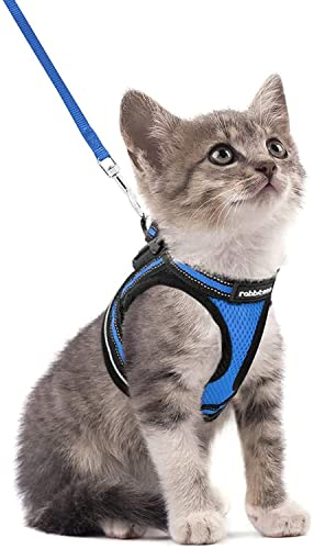 rabbitgoo Katzengeschirr Katzenleine Set Katzengeschirr mit Leine Geschirr Katzen ausbruchsicher verstellbar weich mit reflektierenden Streifen für Katzen Kitten Welpen Cat Harness Leash Blau S