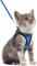 rabbitgoo Katzengeschirr Katzenleine Set Katzengeschirr mit Leine Geschirr Katzen ausbruchsicher verstellbar weich mit reflektierenden Streifen für Katzen Kitten Welpen Cat Harness Leash Blau S