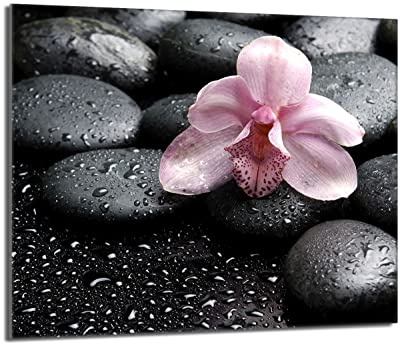 Herdabdeckplatte 60x52 Einteilig Glas Orchidee Rosa