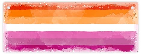 Pride-Flagge Lesbian Metallschild ein Symbol für Gleichberechtigung und Zusammenhalt Gay transgender Regenbogen Schild Blechschild bunt Geburtstag Küche Rainbow LGBTQ+ queer Liebe