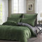 Gezu Housse de Couette Hiver 140x200cm Vert et Gris Flanelle Velours Double Face Épaissie Chaude Parure de Lit Adulte Literie 1 Personne avec 1 Taies d'oreiller 65x65cm avec Fermeture Éclair