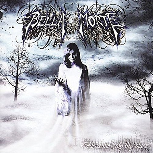 Bleed The Grey Sky Black