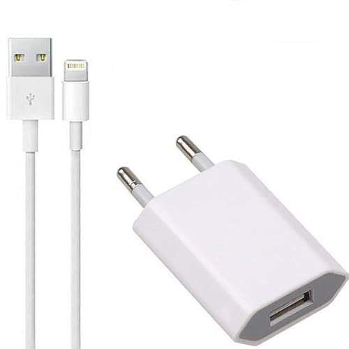 Set Caricabatterie + cavo usb - lightning BULK