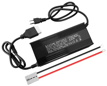 24V 20A Lithium Battery Charger 29.2V LiFePO4 Battery Charger, with Anderson Connector LED Indicator, Built-in Safety Protections, Support 0V Charging, Special for 24V LiFePO4 Battery