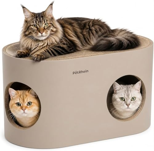 PetRhein Kratzbrett für Katzen aus Kratzpappe,3-in-1 großes Katzenhöhle mit Kratzmatte & Katzenbett – 64 x 35 x 36 cm– Stabiles Kratzpappe, Minimalistisches Kratzmöbel für Katzen(Beige)