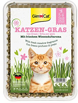 GimCat Herbe à chat à l’arôme de parfum de prairie - Mélange de graines issu d’une culture en plein air contrôlée pour une pousse rapide - 1 barquette (1 à 150 g)