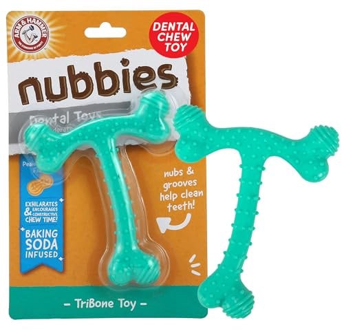 Arm & Hammer: Nubbies TriBone Chew Toy for Dogs Peanut Butter turquiose
