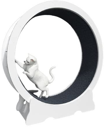 Katzenlaufrad Für Hauskatzen, Großes Katzenlaufrad Mit Laufbahn Aus Teppich Für Längere Lebensdauer, Katzenlaufrad Mit Bremse,113x36x120cm