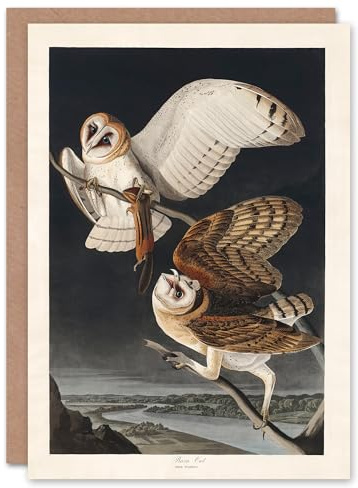 Artery8 John James Audubon Art Card Birds of America Barn Owl