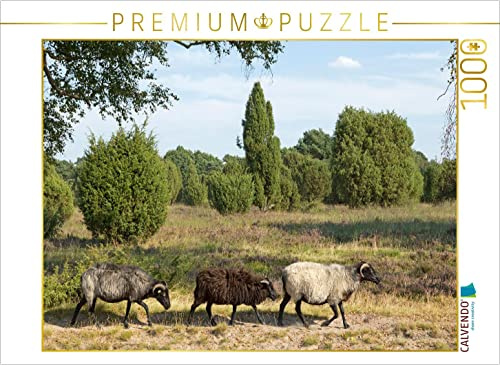 CALVENDO Puzzle Heidschnucken unterwegs | 1000 Teile Lege-Größe 64 x 48 cm Foto-Puzzle für glückliche Stunden
