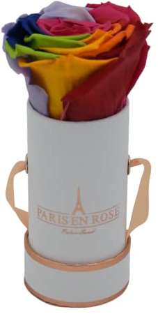 PARIS EN ROSE Rosenbox Rainbow | mit Einer (1) konservierten Infinity Rose Größe XL | ewige Rose | Regenbogen | runde Box in Weiß-Roségold | 3 Jahre haltbar (Mini (1 Rose))