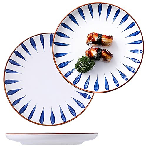 JMYDecor Dinner Plates Ceramic Plate Set - Large 26 Diameter Porcelain Round Plate Sets of 2 - Stripe Pattern Plates for Kitchen - Dishwasher Microwave Oven Safe