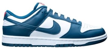 Nike Dunk Low Retro Trainers EU 41