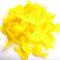 Suneast 100 Stücke Deko Federn Natur Gänse Feder Bastel Feather für DIY Traumfänger, Kostüme Schmuck Deko, Karneval Basteln - Gelb, 5-8cm