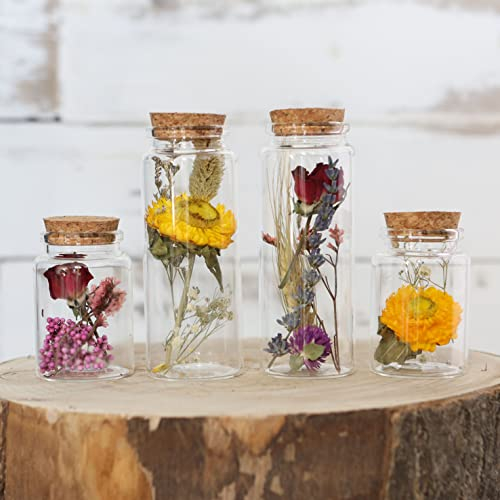 comforder Trockenblumen im Glas mit Korken 4er Set, getrocknete Blumen-Deko in eleganten, schmalen Gläsern (bunt)