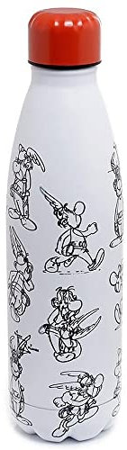 Barbacado ASTERIX Thermosflasche aus Edelstahl, 500 ml, hält warm und kalt