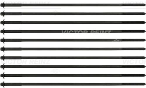REINZ 14-32100-01 Zylinderkopfschraubensatz | Kompatibel mit: LAND ROVER FREELANDER I, LAND FREELANDER I Soft Top, MG TF, ZR, ZS, ZS Hatchback, ZT, ZT- T, MGF