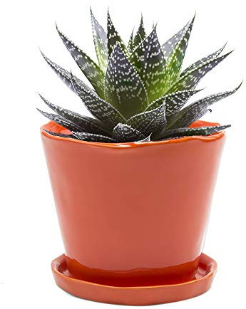 CHIVE Pots de Fleurs en céramique « Tika » – Jolis Pots pour Fleurs et Plantes d'intérieur et d'extérieur – Grand (12,7 cm) – Orange