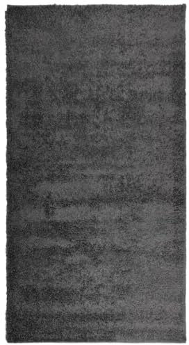 vidaXL Teppich Shaggy Hochflor, Bodenteppich Weich Flauschig, Flächenteppich für Wohnzimmer Schlafzimmer Flur, Flurteppich Hochflorteppich, Modern, Anthrazit 80x150cm