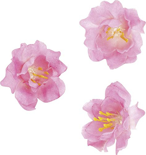 KnorrPrandell 6529793 Blüten, 2.5 cm, rosa