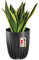 KADAX Pot de fleurs en plastique avec matériaux naturels, pots de plantes modernes avec motif géométrique, pot de fleurs rond avec insert, pot de fleurs naturel, cache-pot haut (diamètre 14,5 cm,