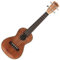Kala kacg-ukulele, mit Detail mechanisch, Finish glänzend