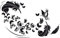 GRAZDesign Wandtattoo Schlafzimmer Feder Schmetterlinge, Wand Deko Klebefolie modern & selbstklebend - 91x57cm / 070 schwarz
