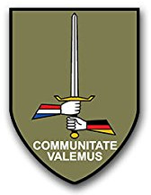 Aufkleber/Sticker I Deutsch Niederländisches Korps GE-NL Corps BW 5x7cm A1590