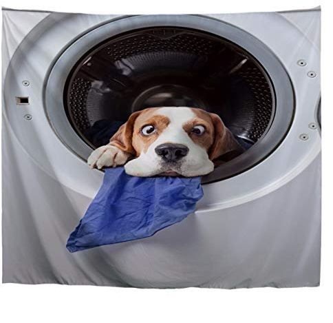 A.Monamour Tapices Perro Mascota Divertido En La Lavadora Amante De Animales con Temas para Niños, Arte, Tela, Tapicería De Pared, Tapices De Pared, Mural para El Dormitorio Sala De Estar 153x229cm