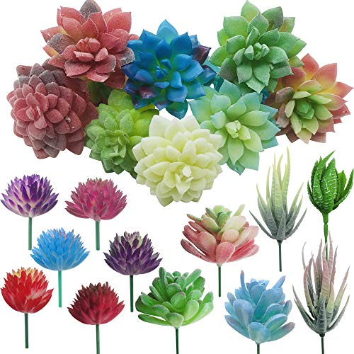 Cayway 20 Stück Künstliche Sukkulenten Mischfarben Unfotted Faux Blume Sukkulenten Künstlich Gemischt für Zuhause Indoor Fairy Garden Dekorationen