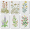 ORIGACH 6 STÜCK Wildblumen Schablonen zum Malen - 21 x 29.7 CM große Blumen Schablonen - Blumenstrauß Malschablonen für Holz, Wand, Leinwand - Wiederverwendbare Vorlage für Wohnkultur