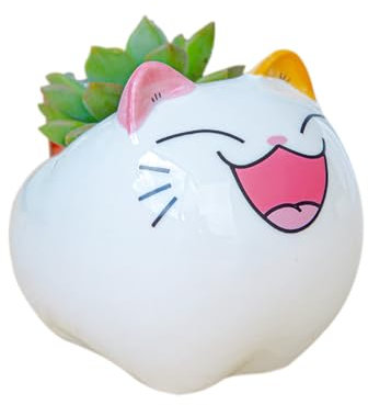 RUIXIAOXI Mini macetas de cerámica para suculentas, maceta de animales pequeños, bonita maceta con forma de gato de dibujos animados, soporte para plantas pequeñas, flores de cactus, sin plantas