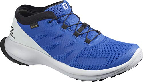 Salomon Herren Shoes Sense Flow GTX Laufschuhe, Blau (Eisblau/Perlblau/Schwarz), 49 1/3 EU