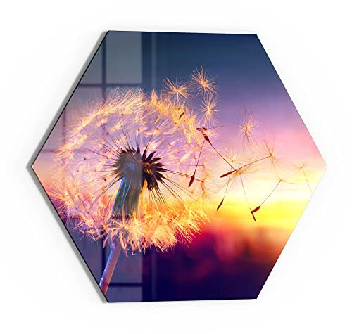 DEQORI Glasbild Echtglas | Motiv Pusteblume im Abendlicht | sechseckig einteilig 40x34,5 cm | schöne Dekoration | Wandbild für Wohnzimmer, Schlafzimmer, Flur & Küche | moderne Wanddeko