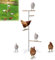 YRHome Hühnersitzstange für Hühner Hühner-Spielplatz aus Holz 120x40cm Hühnerspielzeug Sitzstangen Hühnerstange für Hühner Zubehör für Hinterhofgeflügel Hühnerstall Bauernhof