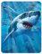 3D LiveLife Magnet - Weiß Haifisch Freude von Deluxebase. Linsenförmige 3D Haifisch Kühlschrankmagnet. Dekoration für Kinder und Erwachsene mit Kunstwerk lizenziert von bekannt Künstler, Jerry LoFaro
