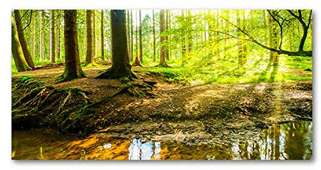 Tulup Splashback 55.12x27.56 inch / 140x70 cm Glass Panel Wall Protection Induction Cooker Tempered Glass Toughened Safe Glass Kitchen Panel Splash back Kitchen - Green - Sunbeams forest