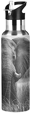 Vnurnrn Éléphant Animal Art Africain Bouteille d'eau Isotherme avec Paille en Acier Inoxydable Gourde 600ML, Sans Bpa Gourdes Eau pour Enfant Sport Randonnée École Bureau
