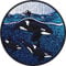 ORCA FAMILIE Aufnäher Killer whale Sticker Schwertwal Familie Aufbügelflicken bestickt | SAVE THE OCEAN | Umweltschutz Patch zum annähen/aufbügeln | Klimaschutz Applikation | 80x80mm