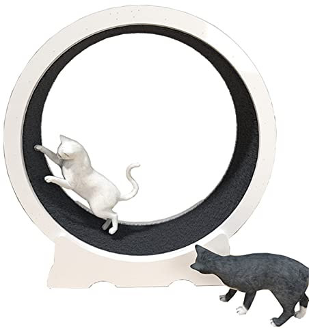 MOHTA Katzenlaufrad Katzenlaufrad für Wohnungskatzen, Kein Lückendesign Sicheres Katzenlaufband Übung Riesenrad Weiß, Holzkätzchen Erwachsene Katze Laufrad Spielzeug