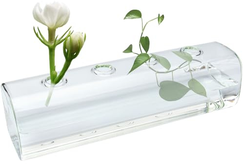 YGNNBC Horizontal Glass Hydroponic Vase, Creative Propagation Station for Desktop Decoration, Desktop Decorative Vase and Floral Container, Office and Home Decor. (8.5in/21.6CM)