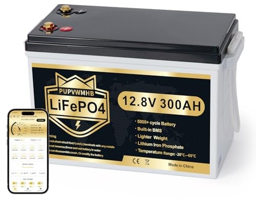 Batterie LiFePO4 12V 300Ah avec Bluetooth, BMS 200A, jusqu'à 15000 cycles, max 3840Wh, protection basse température, cycle profond, design compact, pour camping-car, solaire, moteur électrique