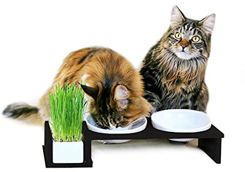 CanadianCat Company Katzennapf erhöht, Futternapf Katze Cat Diner mit DREI Keramik Näpfen, Ø14,5 cm Fressnapf, Futterschale, Futterstation, schwarz