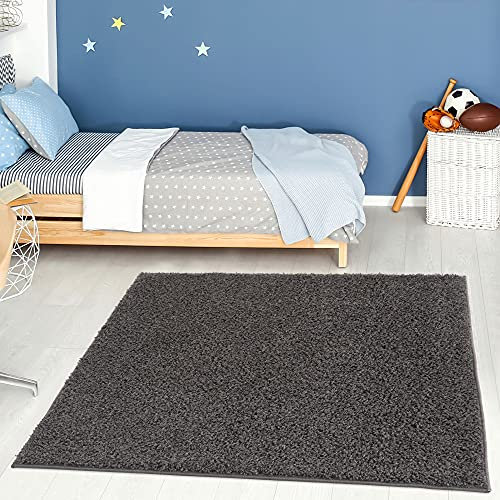 THE RUGS Living Room Rug - Shaggy Soft And Elegant Carpets For The Bedrooms And Kitchen, Easy To Clean, Many Different Sizes (120x120 cm, Dark Grey)