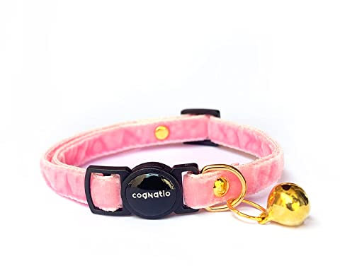Cognatio Sicherheits-Katzenhalsband, mit Schnellverschluss, doppelter Samt, mit Glöckchen, erhältlich Samt, gerippt, perfekt für Ihre Katze